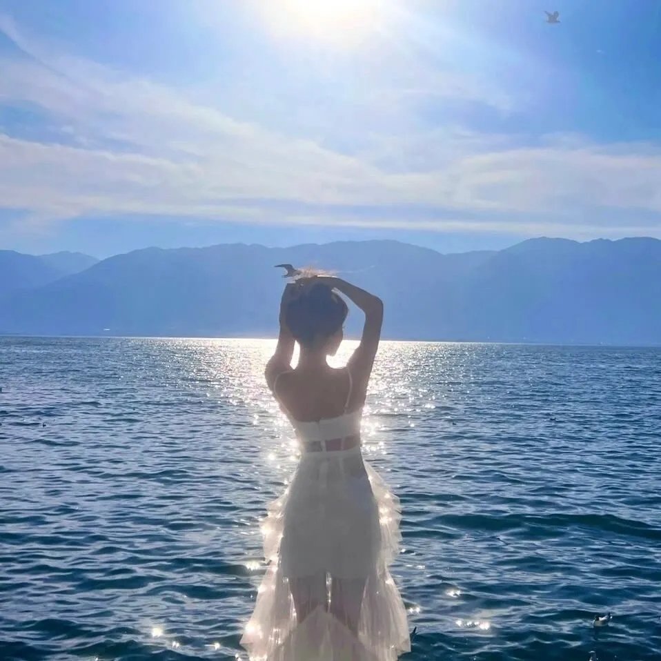 阴暗浮沉鸭